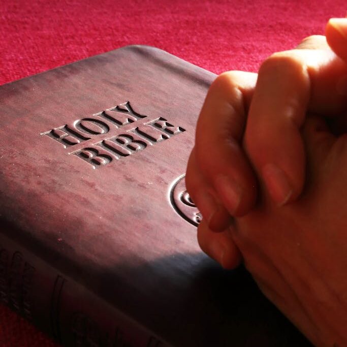 Person Hands on Holy Bible